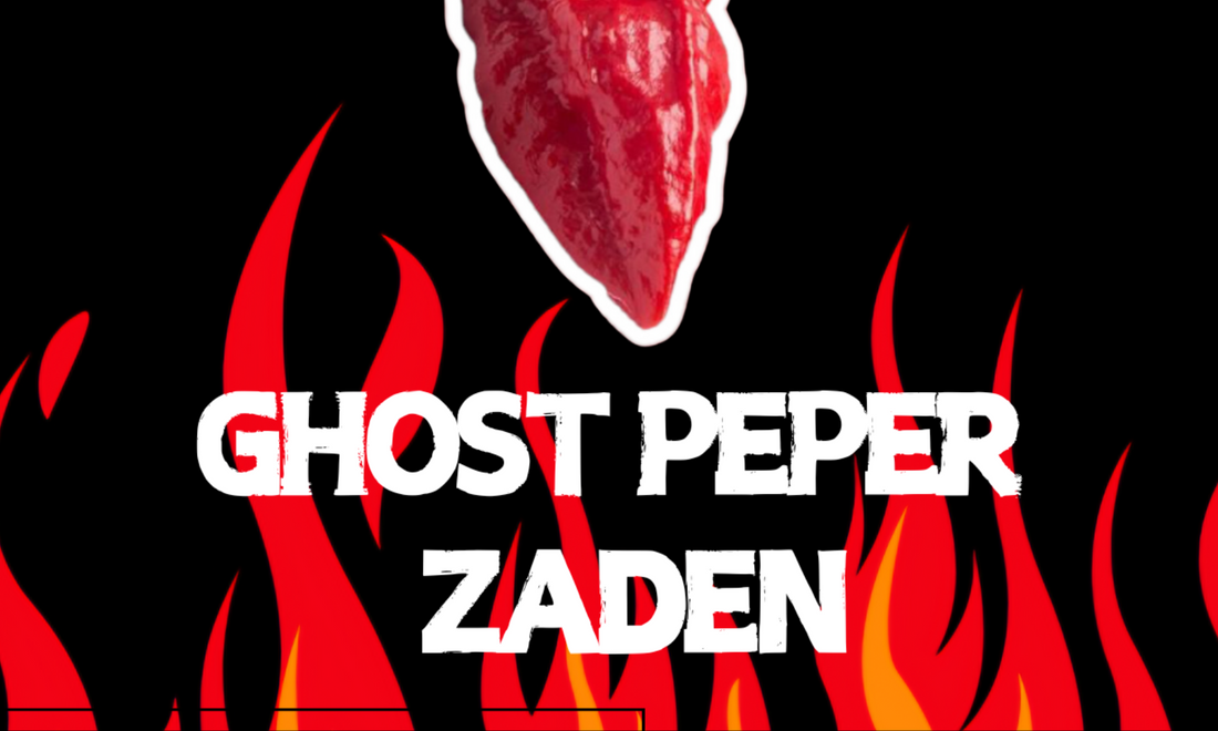 Ghost Peper zaden, planten kweken met zaadjes