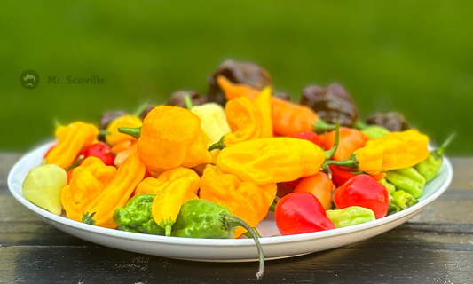 Close-up van een bord met hete chilipepers en Mr. Scoville-producten, perfect voor een pittige uitdaging en een unieke smaakervaring