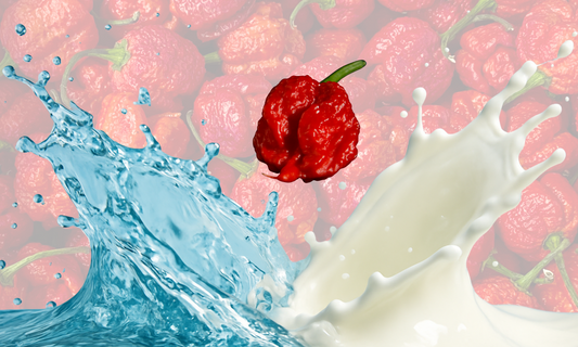Wat moet je drinken tijdens heet eten
