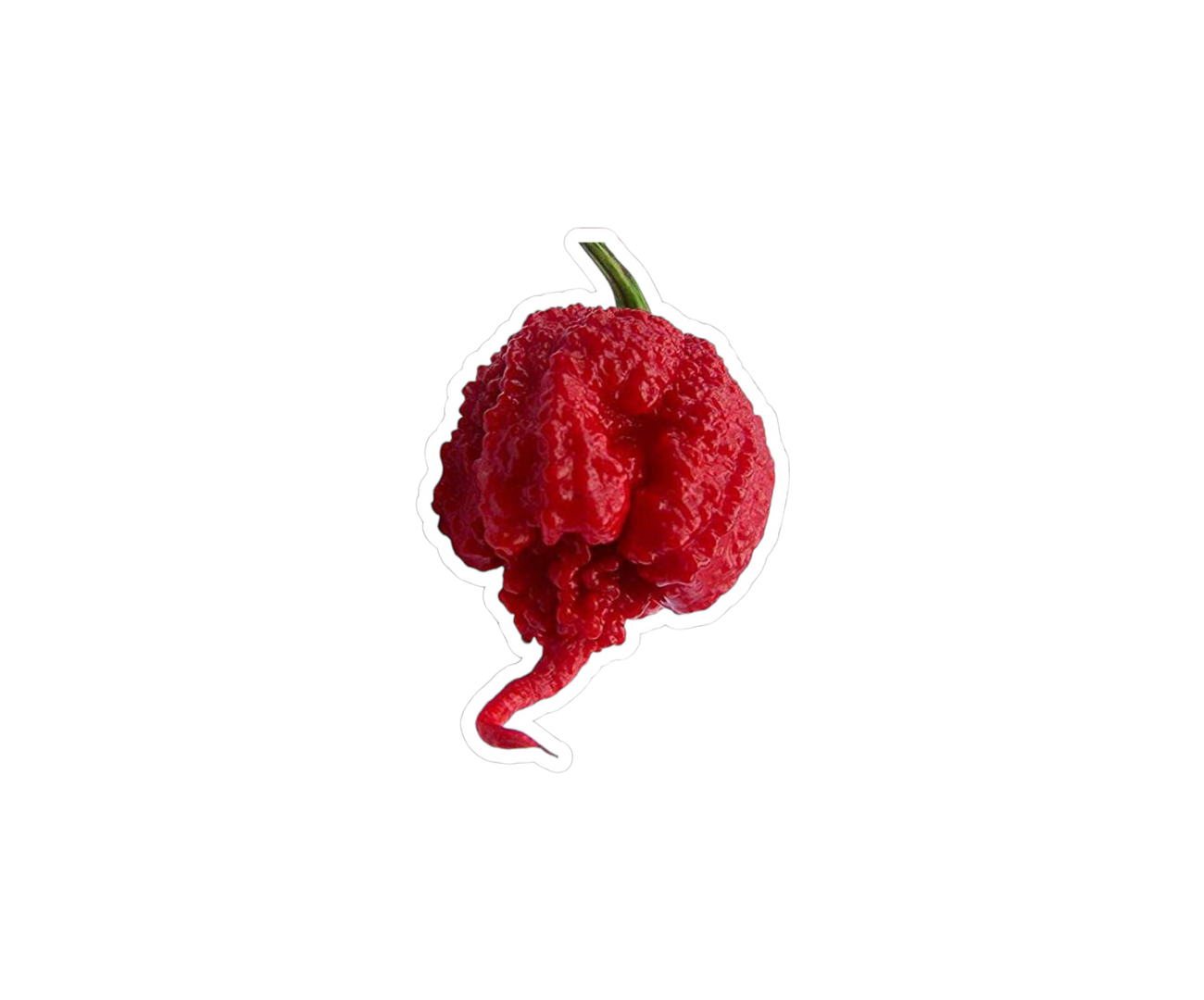 Carolina Reaper zaden - 10 stuks