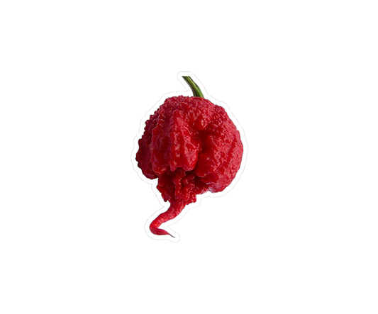 Carolina Reaper zaden - 10 stuks